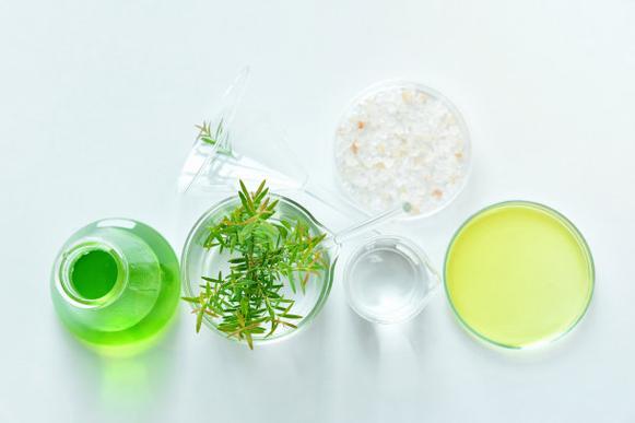 天然有机植物和科学玻璃器皿,替代草药,天然护肤化妆品美容产品,研发